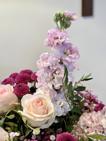 Blumen fur Juni